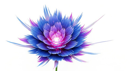 Obraz premium dahlia flower isolated on white