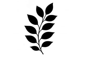 Growing leaves on a sprig creating a simple black botanical silhouette on transparent background