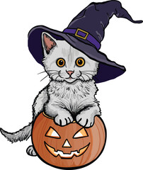 Hand-drawn cat wearing witch hat Halloween pumpkin vector graphic