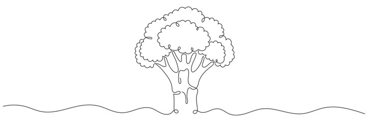 Continuous line hand-drawn broccoli. One continuous line drawing of green broccoli isolated on a white background. Editable line
