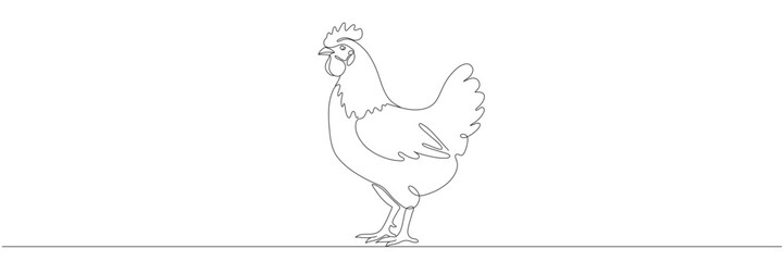 Chicken in continuous line drawing style isolated on white background. Vector illustration. Editable line