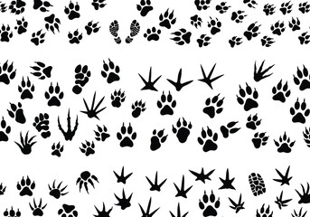 Silhouette animal footprint collection with paw prints, bird tracks, reptile and amphibian trails, comparative wildlife design, educational illustration, nature concept