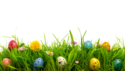 Ostereier im Gras isoliert auf weißem Hintergrund – Freisteller für Osterdesign und Compositing