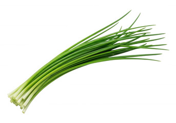 Fototapeta premium Green Chives Bunch isolated on a transparent background