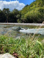 Scenic River and Alpine Forest. Majestic Mountain View with Pure Nature and Timeless Beauty