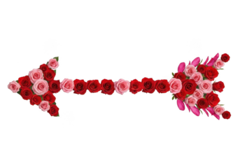 Floral arrow clipart, roses arrow, red and pink roses, valentine's day arrow, floral design element, decorative arrow, love arrow, cupid arrow isolated on transparent background