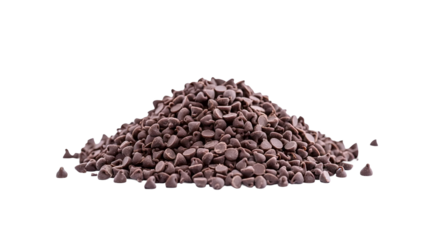 Gourmet Chocolate Chips