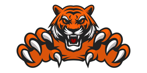 A fierce orange tiger with sharp claws extended forward, showing aggression and power. © Agi