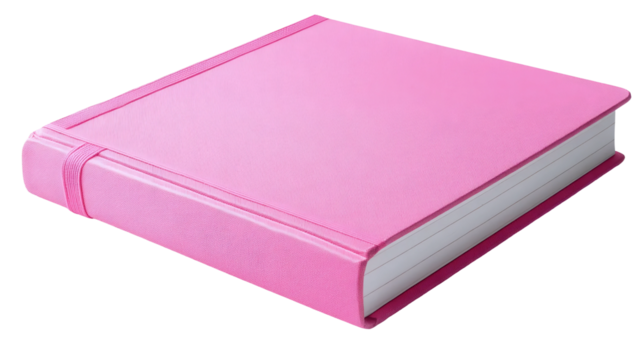 Stylish Writing Book