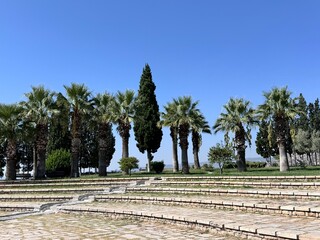 Washingtonia robusta (Mexican fan palms) and Cupressus sempervirens (Mediterranean cypress) trees in a sunny park with stone steps and clear blue sky, Mediterranean landscape scene.