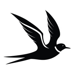 flying tern vector icon on white background