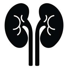 kidneys vector icon on white background