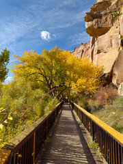 Autumn Boardwalk beneath Sandstone Cliffs, Capitol Reef