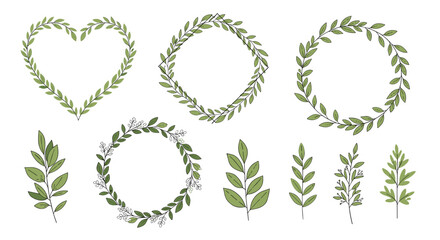 A collection of delicate green leaf illustrations forming natural decorative elements