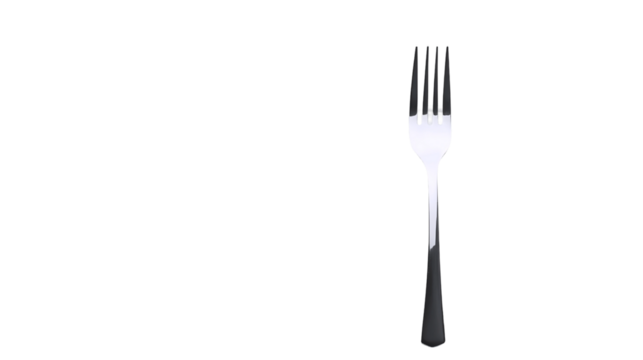 Shiny Dining Fork