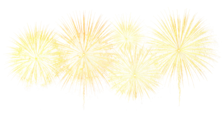 Festival Fireworks isolated on transparent background. New Year, Birthday, Festive Fireworks.	
