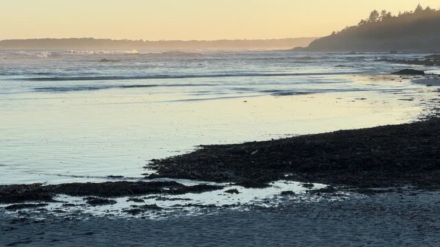 Serene Coastline