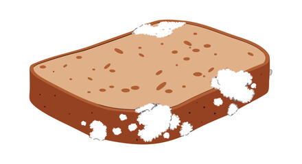 Moldy bread slice shows spoilage and food waste, highlighting decay and health concerns

