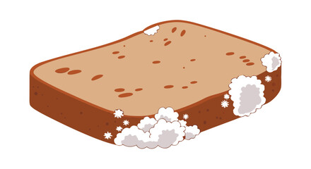 Moldy bread slice shows spoilage and food waste, highlighting decay and health concerns


