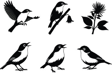 Bird illustration set, black and white vector, flying bird, perched bird, botanical flower, nature drawing, wildlife sketch, hand-drawn style
