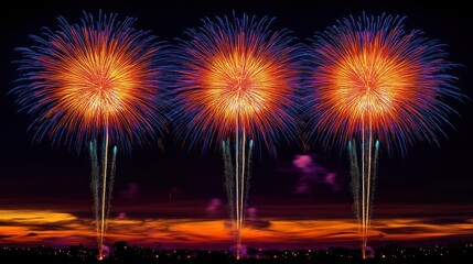 Colorful fireworks explode over dark sky
