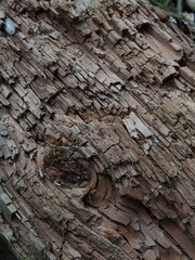 Eco-friendly natural materials