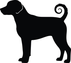 Illustrator Vector Danish Swedish Farmdog standing side view silhouette