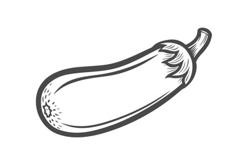 Single Monochrome Eggplant Vegetable, Isolated on White Background,