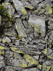Eco-friendly natural materials
