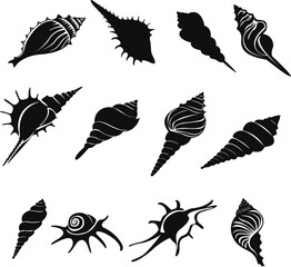 Sea Shell Silhouette Vector — Ocean Beach Marine Illustration