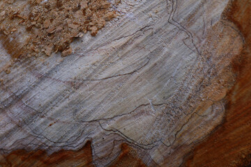 Naklejka premium old wood texture