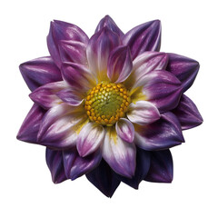 Fototapeta premium PNG of A stunning purple lotus flower blooming gracefully, showcasing intricate petals and vibrant colors.