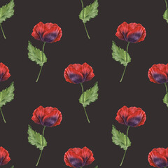 Beautiful seamless pattern with watercolor hand drawn colorful poppy flowers. Stock illustration.