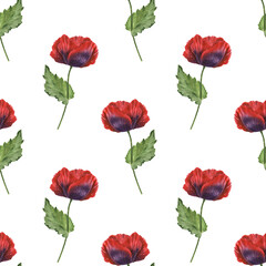 Beautiful seamless pattern with watercolor hand drawn colorful poppy flowers. Stock illustration.