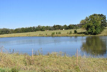 Farm Pond