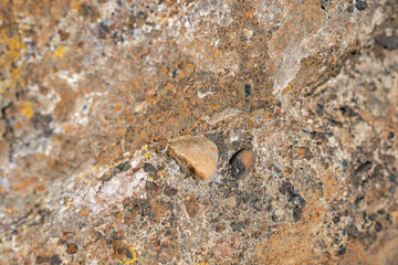 North Menan Butte Trail, tuff cones - volcanoes. Madison County, Idaho. Snake River Plain. Tuff is a type of rock made of volcanic ash ejected from a vent during a volcanic eruption.  Basalt, pebble