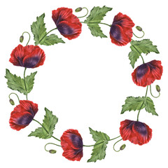 Watercolor poppy wreath isolated on transparent background for decoration design.