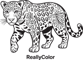 vector illustrations featuring leopards, tigers, and jaguars
