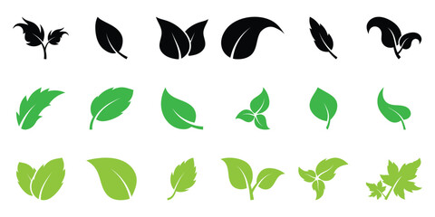 Green leaf icons set. Leaves icon on isolated white background. Collection green leaf. Elements design for natural, eco, vegan, bio labels. Vector illustration. EPS 10