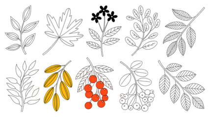 Colorful Hand Drawn Botanical and Fruit Illustration Set,Leaves, Flowers, Berries, and Summer Elements,Flat hand drawn vector illustration,seamless pattern with flowers,branch with leaves,Ai
