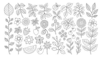 Colorful Hand Drawn Botanical and Fruit Illustration Set,Leaves, Flowers, Berries, and Summer Elements,Flat hand drawn vector illustration,seamless pattern with flowers,branch with leaves,Ai