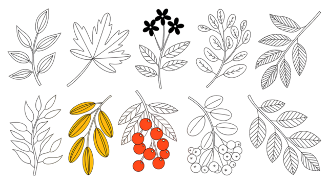 Colorful Hand Drawn Botanical and Fruit Illustration Set,Leaves, Flowers, Berries, and Summer Elements,Flat hand drawn vector illustration,seamless pattern with flowers,branch with leaves,Ai