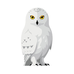 Fototapeta premium Snowy owl standing with yellow eyes on a transparent background 