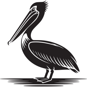 Vector art of black pelican illustration