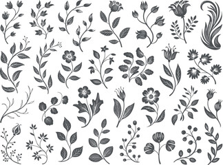 Fototapeta premium Collection of Hand-Drawn Botanical Illustrations and Floral Elements
