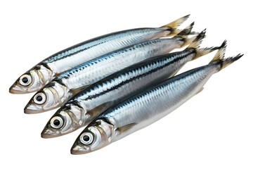 Anchovies or gray anchovy image isolated on transparent