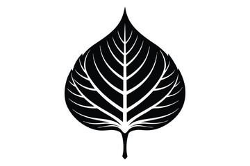 Detailed black leaf illustration presents a striking and intricate design on a white backdrop