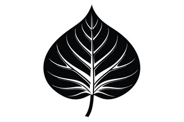 Elegant silhouette of a bold black leaf showing intricate vein details on a white backdrop