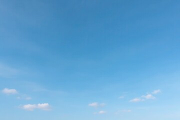 Obraz premium A Study in Blue and White