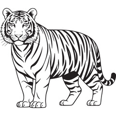 Obraz premium Vector art of tiger